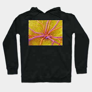 Retina (P424/0192) Hoodie